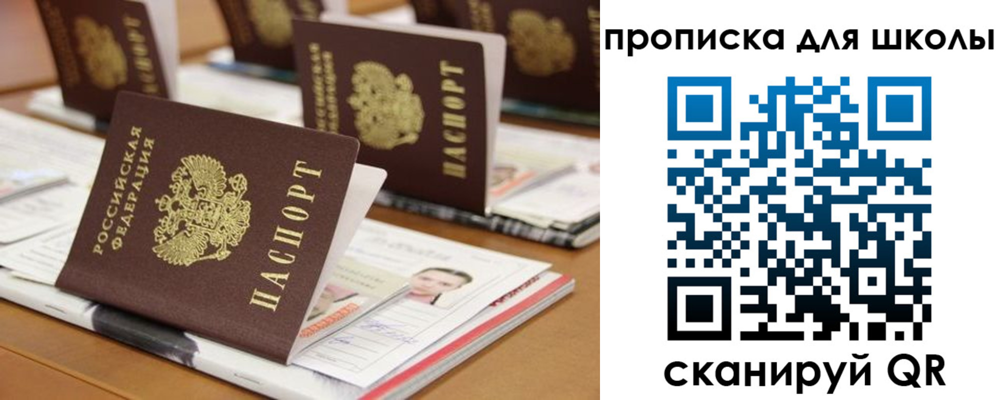 временная регистрация надежно в Завитинске